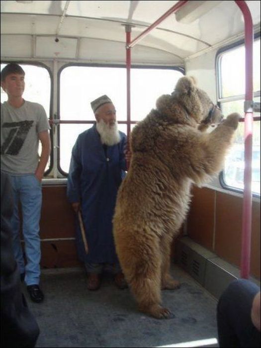 Прикольные картинки