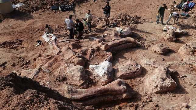 Самый большой в мире динозавр был обнаружен в Аргентине (10 фото)