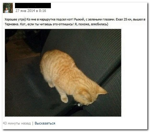 Веселые комментарии из социальных сетей (40 фото)