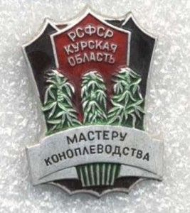 Прикольные картинки (89 фото)