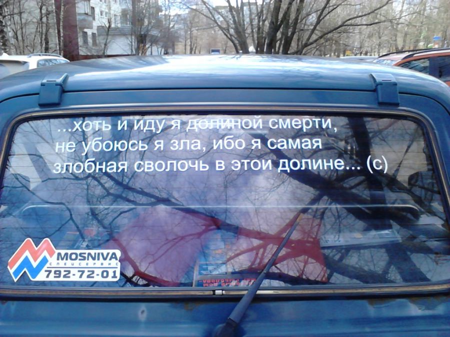 Прикольные картинки (89 фото)