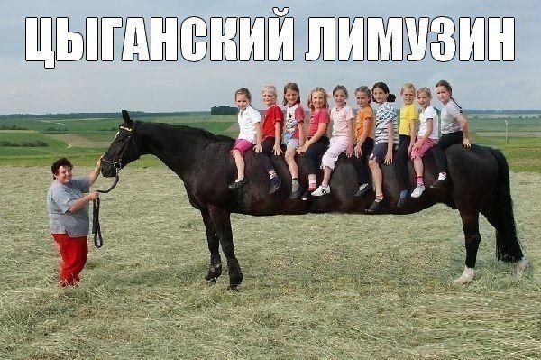 Прикольные картинки (89 фото)