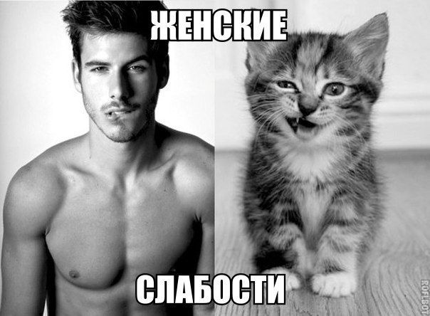 Прикольные картинки (89 фото)
