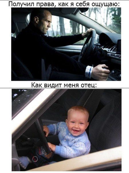 Прикольные картинки (89 фото)