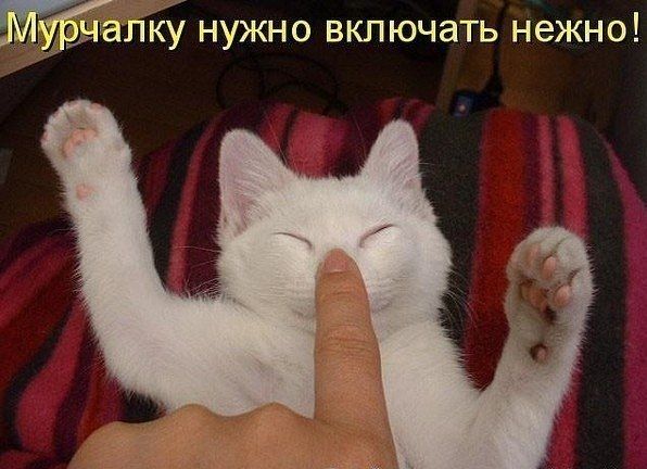 Прикольные картинки (89 фото)