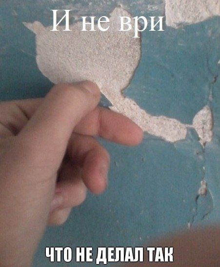 Прикольные картинки (89 фото)
