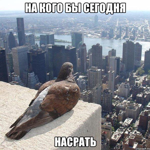 Прикольные картинки (89 фото)