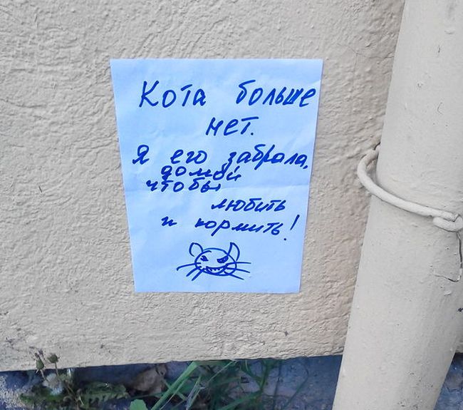 Порция картинок