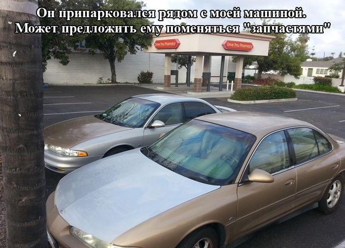 Порция картинок