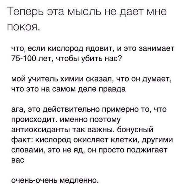 Порция картинок