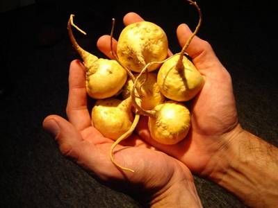 Суперпродукты древней цивилизации