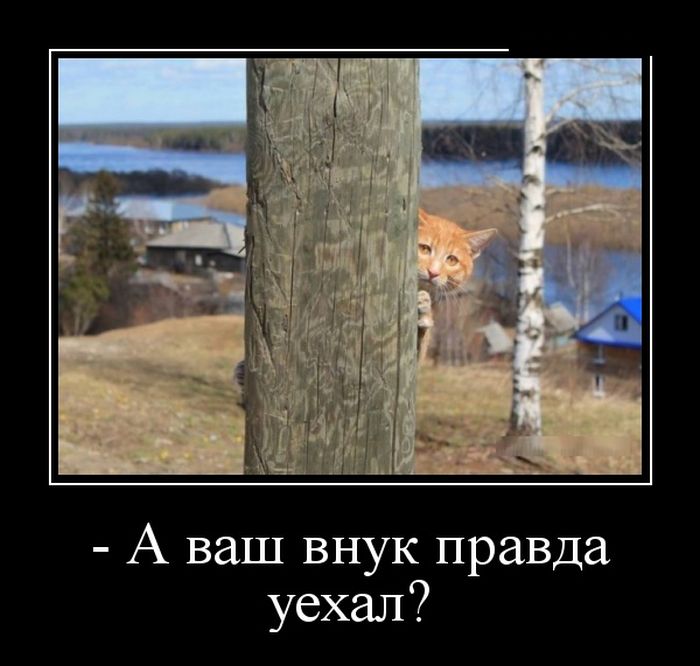Демотиваторы