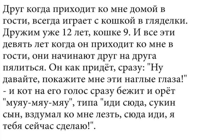 Юмор социальных сетей