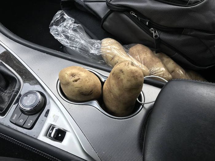 Прикольные картинки