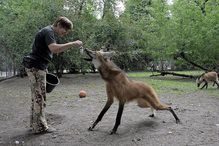 Прикольные картинки