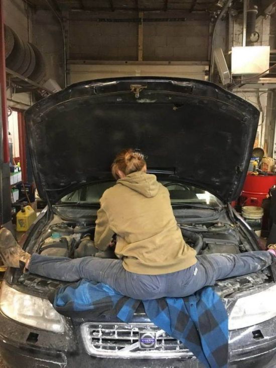 Прикольные картинки