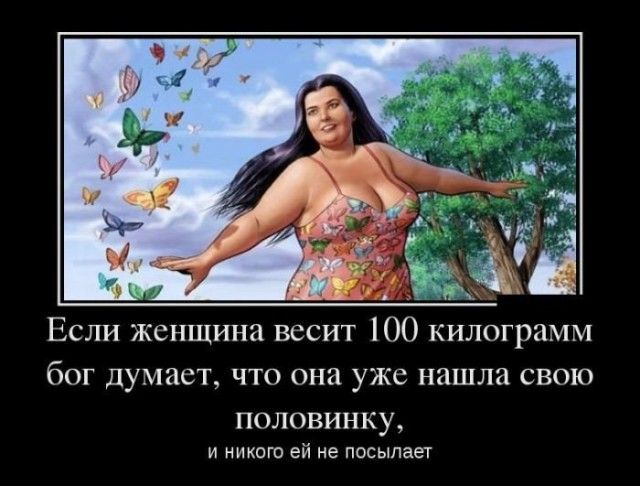 Шутки про лишний вес