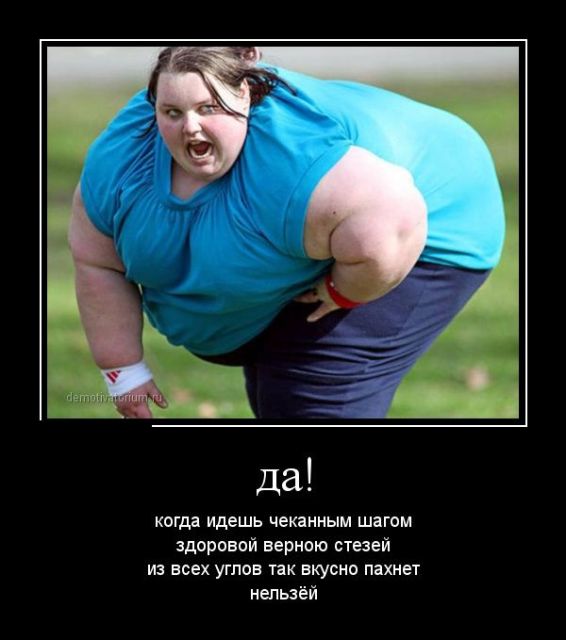 Шутки про лишний вес