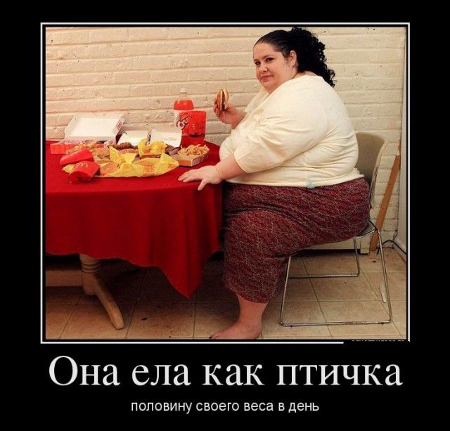 Шутки про лишний вес