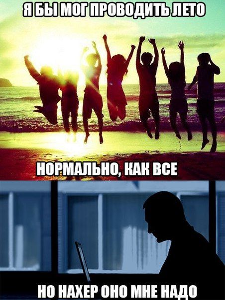 Порция картинок