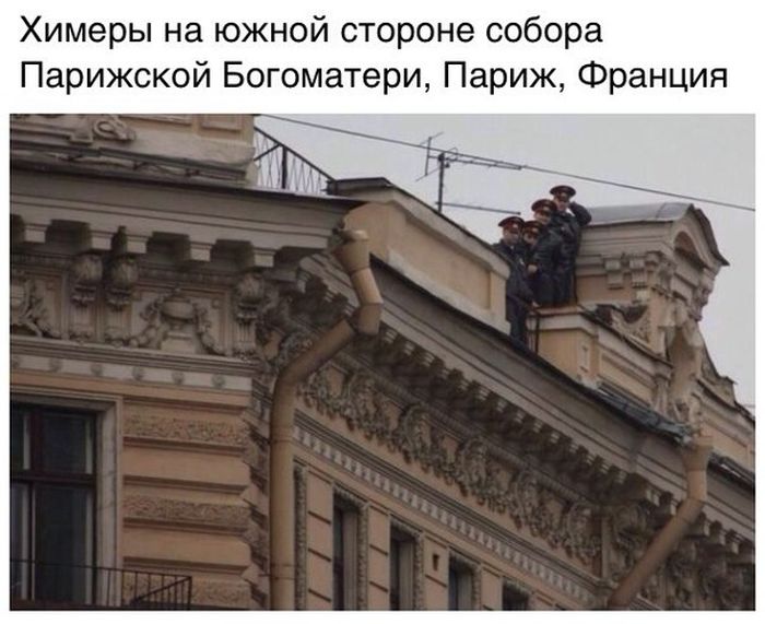 Порция картинок