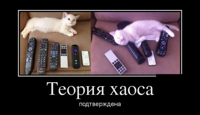 Демотиваторы