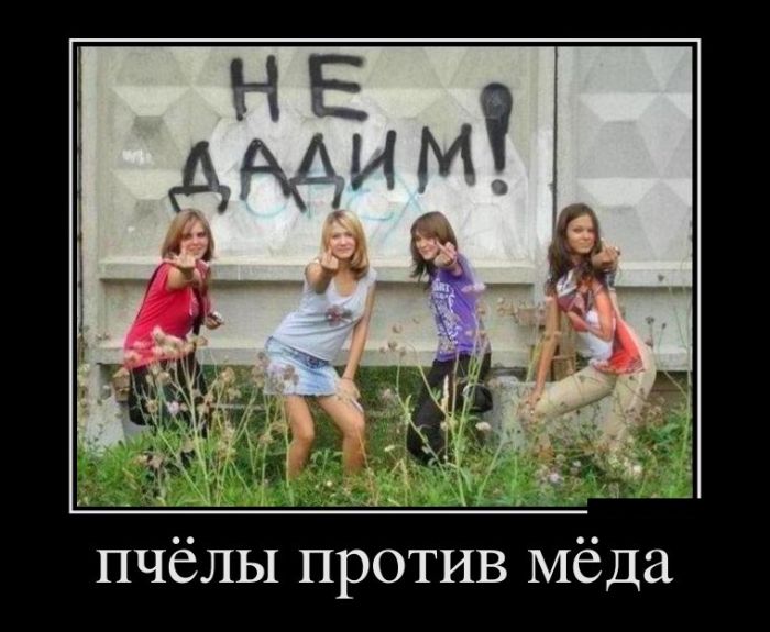 Демотиваторы