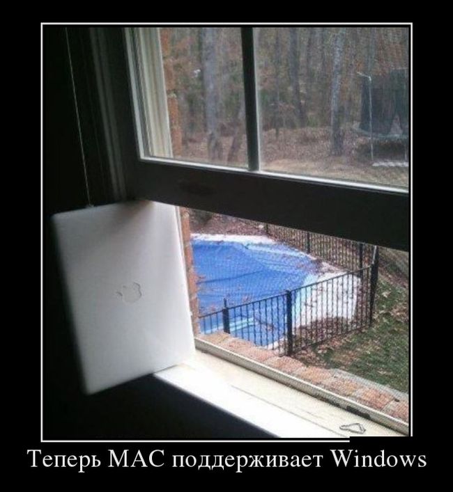 Демотиваторы