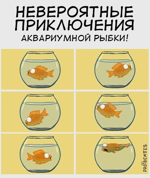 Смешные комиксы
