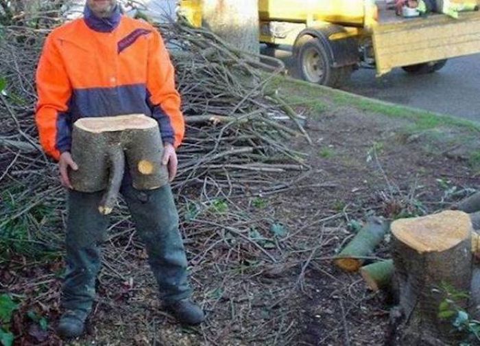 Попробуйте не заметить пошлость этих фотографий