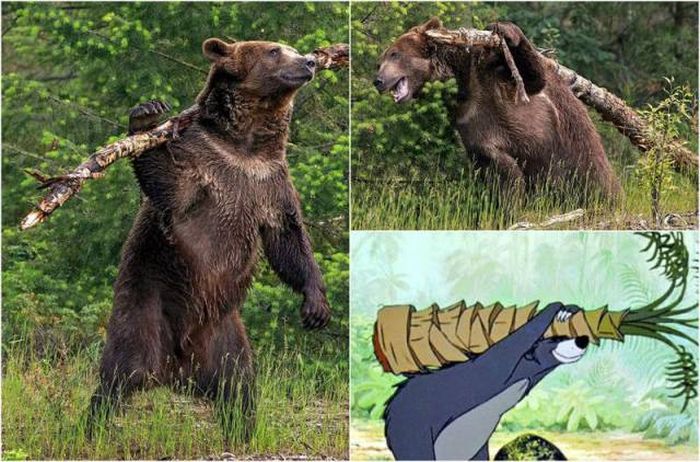 Прикольные картинки