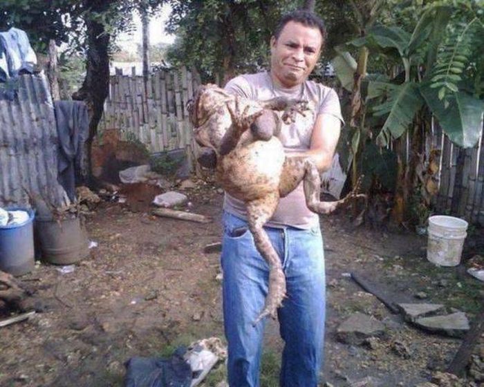 Прикольные картинки