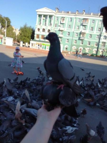 Прикольные картинки