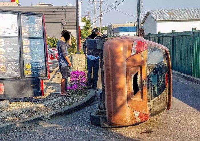 Прикольные картинки