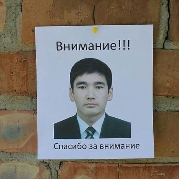 Прикольные картинки