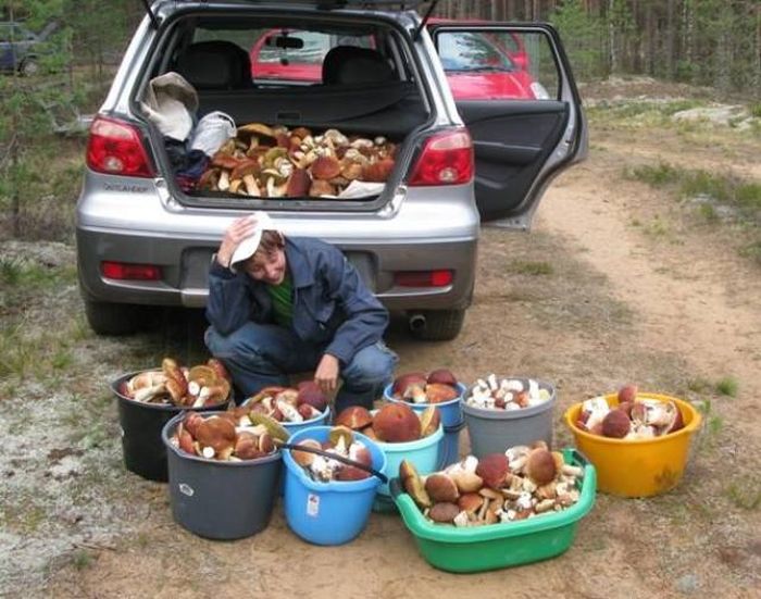 Прикольные картинки