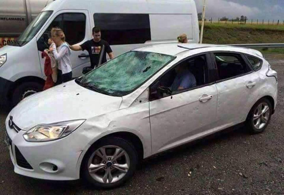 В Испании гигантским градом убило овец