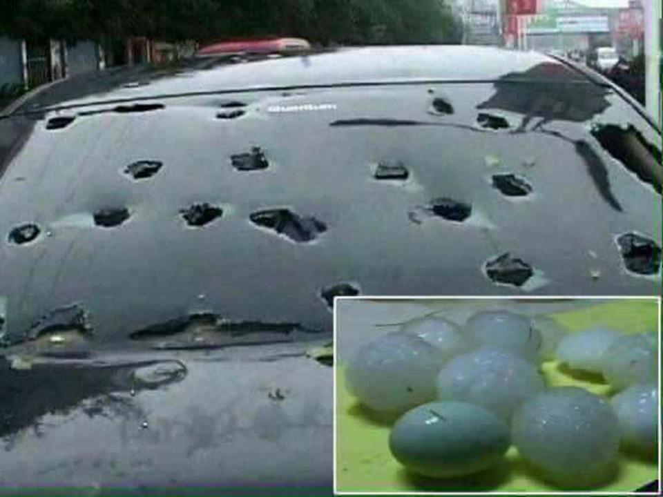 В Испании гигантским градом убило овец