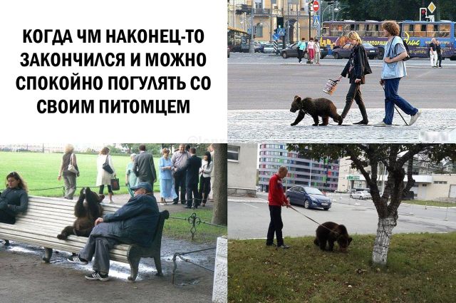 Прикольные картинки