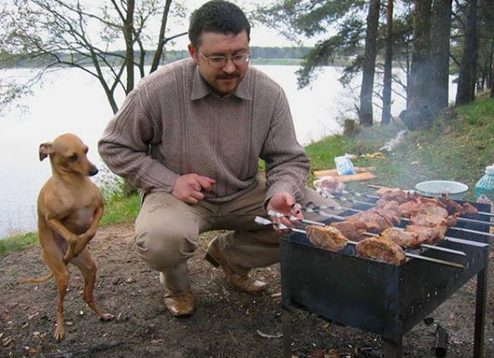 Прикольные картинки