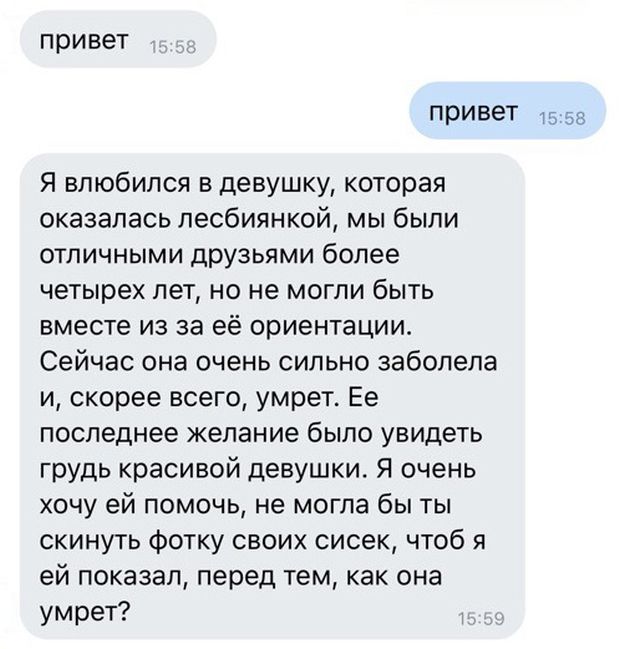 Прикольные картинки