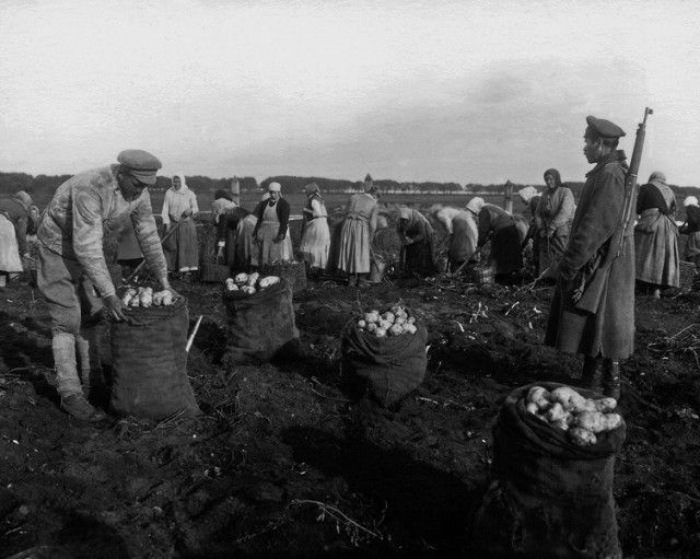 Крестьянская жизнь в Российской империи