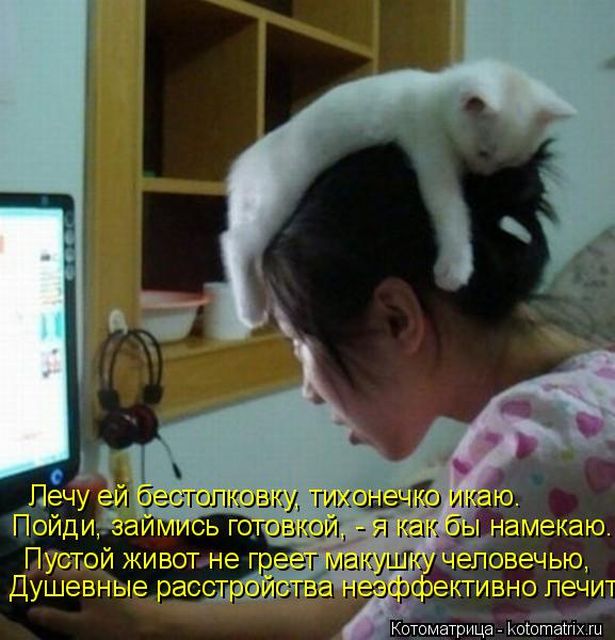 Лучшие котоматрицы недели