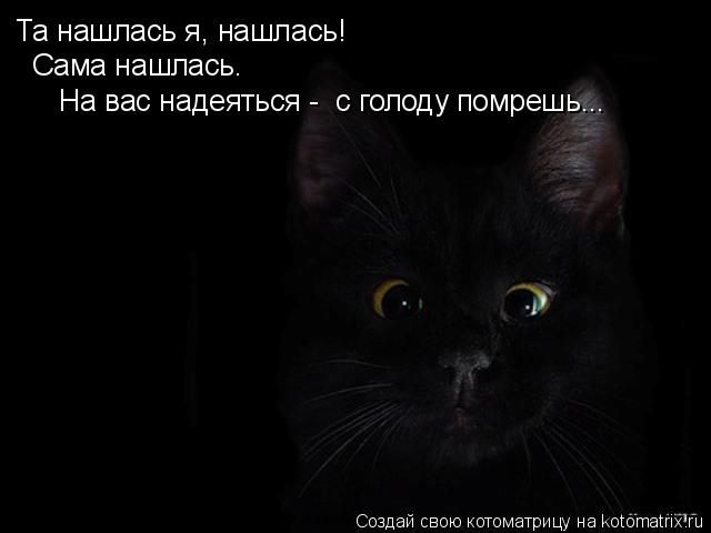 Лучшие котоматрицы недели