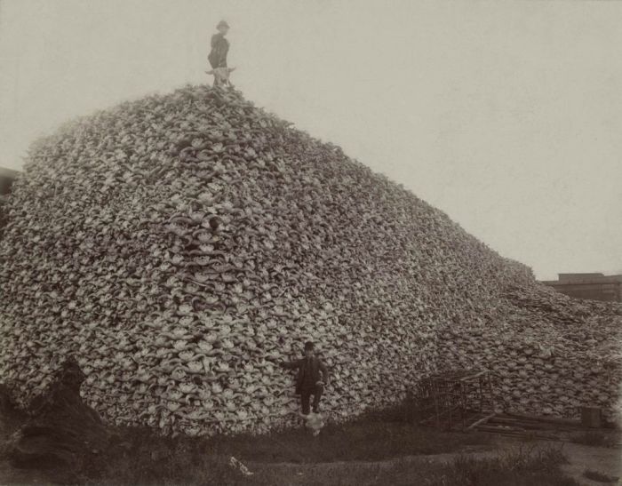 История в фотографиях