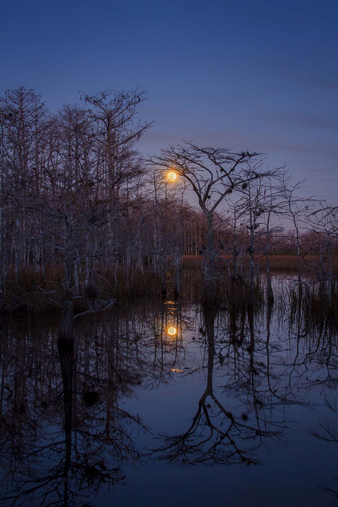 Победители фотоконкурса «Focus on Nature 2014»