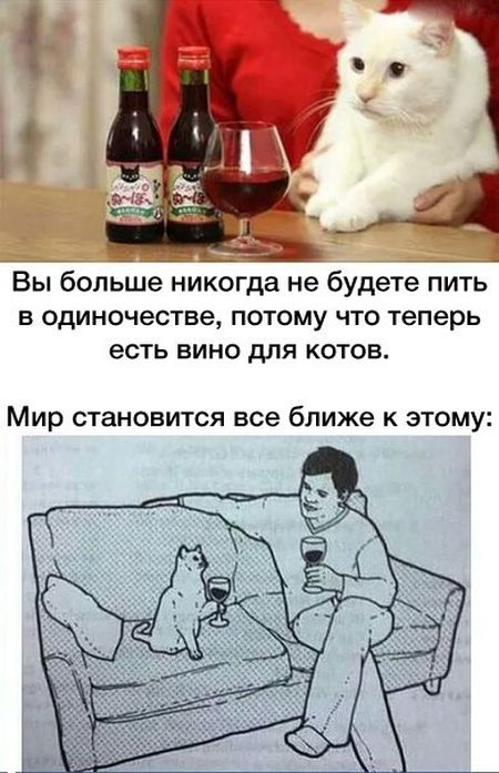 Порция картинок