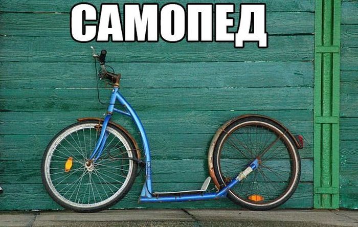 Порция картинок