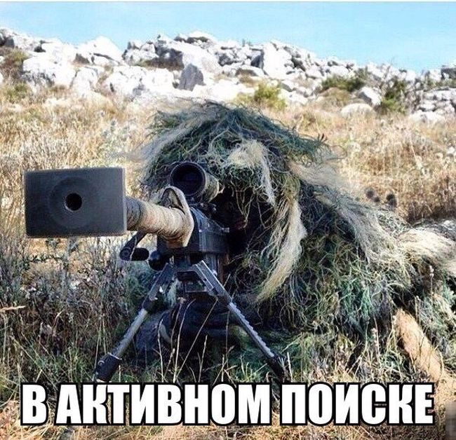 Порция картинок