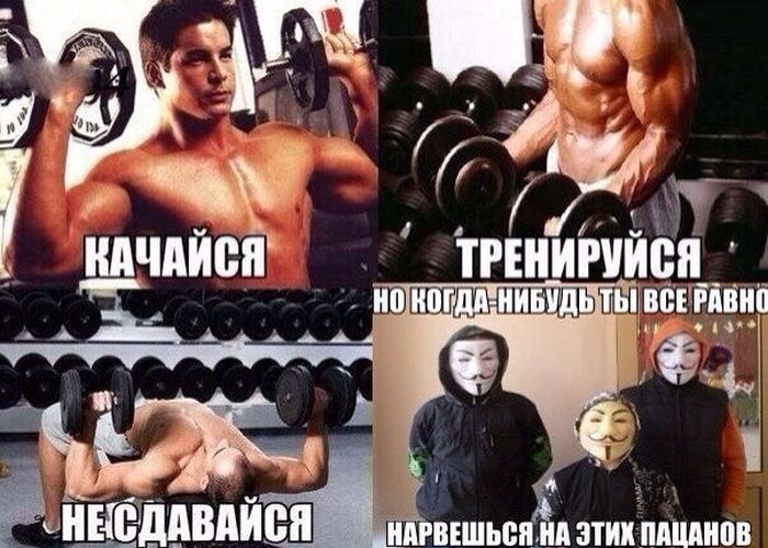 Порция картинок